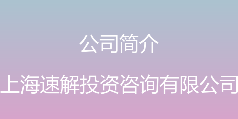 公司简介 - 上海速解投资咨询有限公司