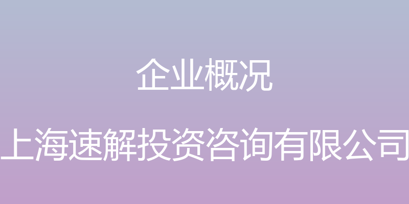 企业概况 - 上海速解投资咨询有限公司